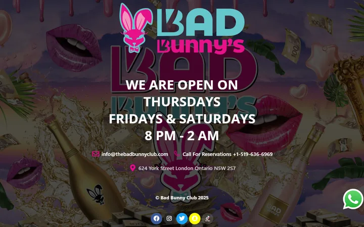 Thebadbunnyclub
